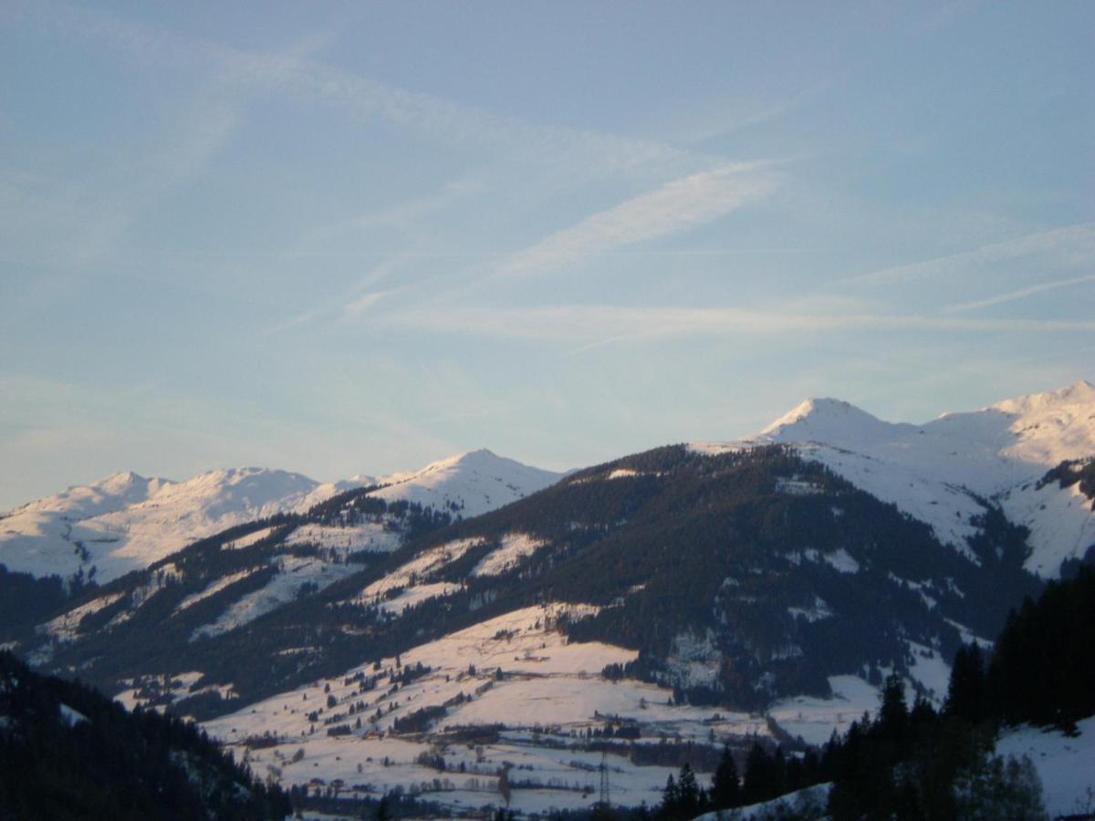 Schiederhof Villa Mittersill Buitenkant foto